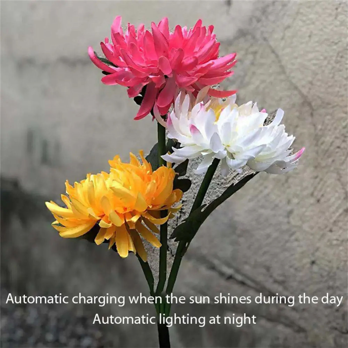 Description Picture 2 of itemLED Solar Chrysanthemum Outdoor Lawn Light IP65 Waterproof Pathway Yard Wedding Holiday Garden Decoration Solar Flowers Lamp