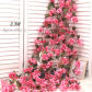 Rose Red