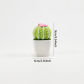 cactus-pink