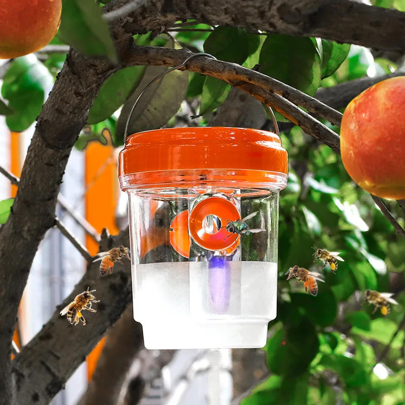 Description Picture 2 of itemClear Plastic Outdoor Insect Trap with Lid - Effective for Catching Fruit Flies, Wasps, Transparent Design for Easy Monitoring