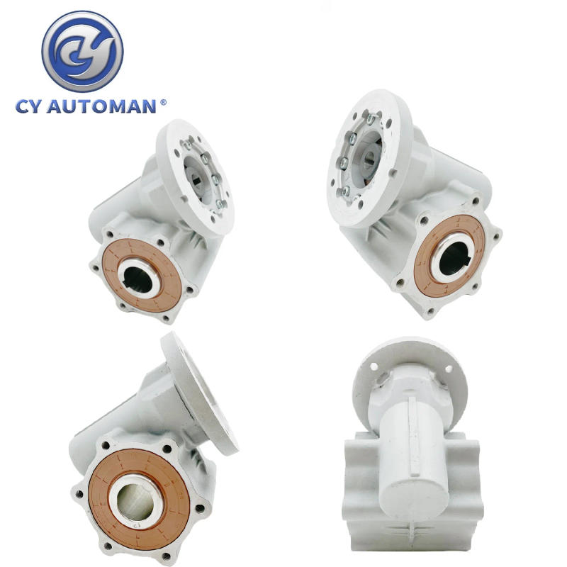 Description Picture 4 of itemCYAutoman Protected Speed reducer Waterproof Worm Gearbox CYXRV60 Input 14 Output 30mm Ratio10:1-30:1 for Automatic Car Washing