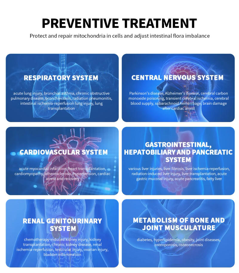 Description Picture 6 of itemSUYZEKO Hydrogen Water Bottle Portable High-Concentration H2 Rich Water Cup Rechargeable Water Ionizer Generator Antioxidants