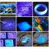 Slide image 061e60555bd94b82b344648b136adbb4