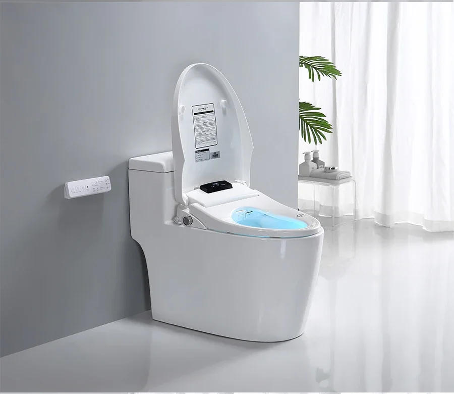 Description Picture 5 of itemSmart Electric Toilet Bidet Seat Hygienic Pastic Lid