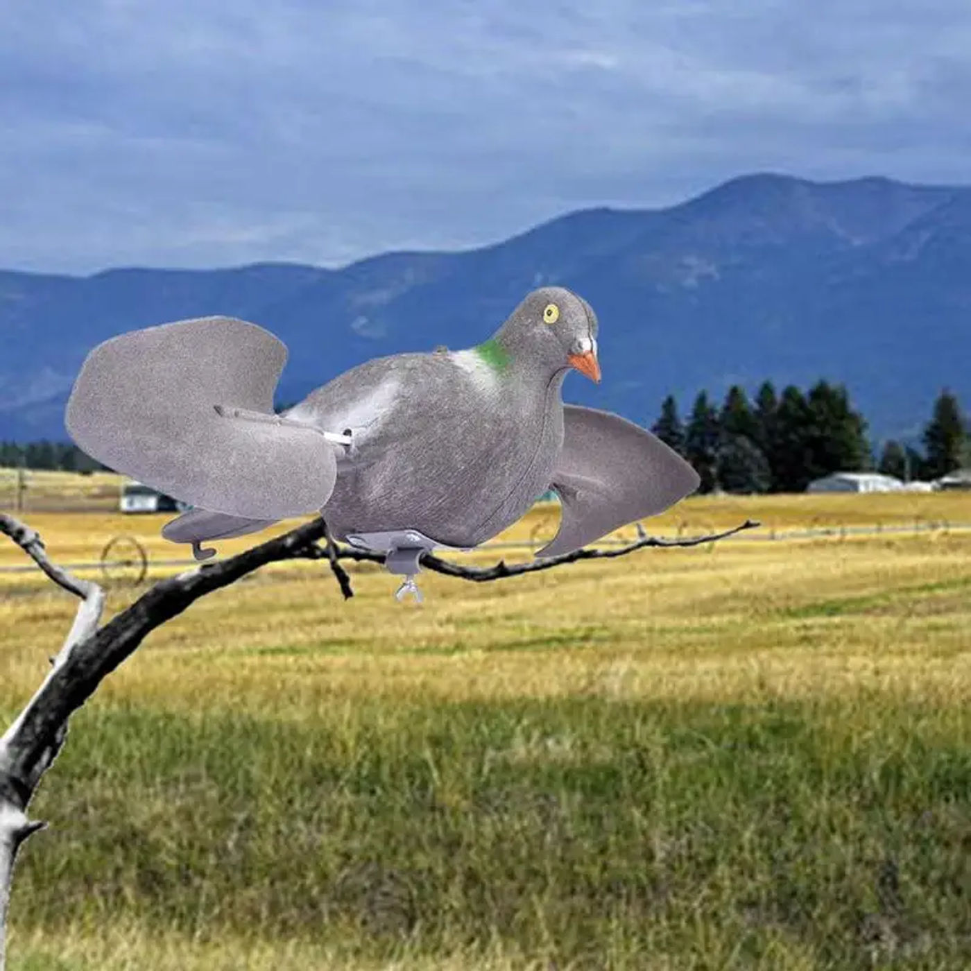 Slide ac15892149e3436aa3d6fde0f86be68d