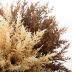 Slide image 0c2cda1d164d4262a91f81a92c0d69d6