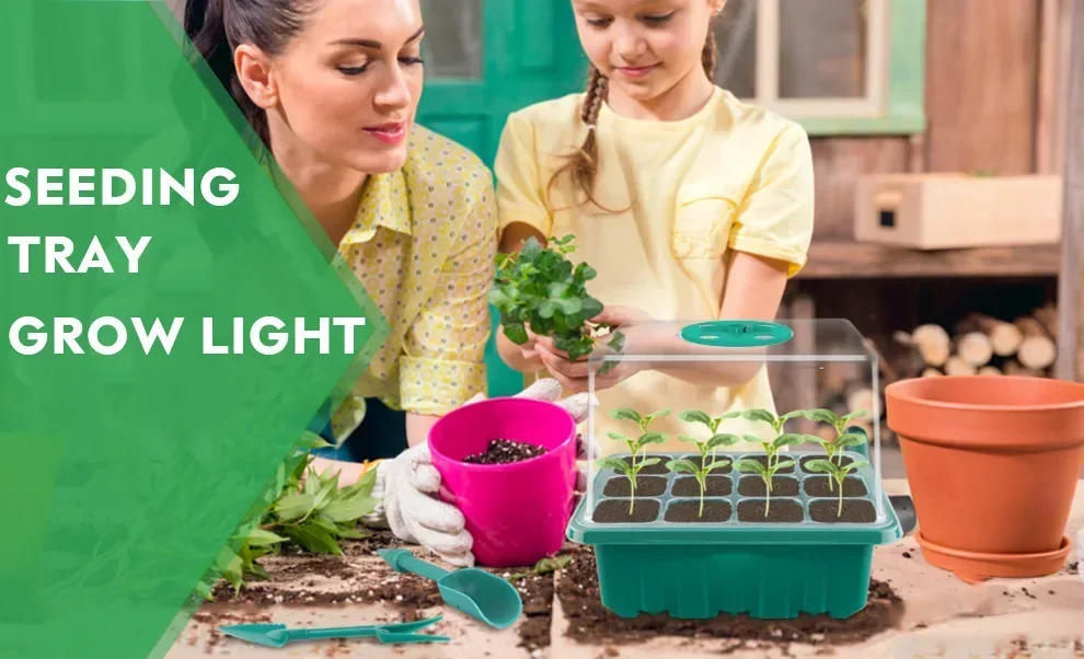 Description Picture 2 of itemPhytolamp for Indoor Plant Full Spectrum Seed Starter Trays with LED Grow Light 12 Holes Per Tray Greenhouse Garden Growing Lamp