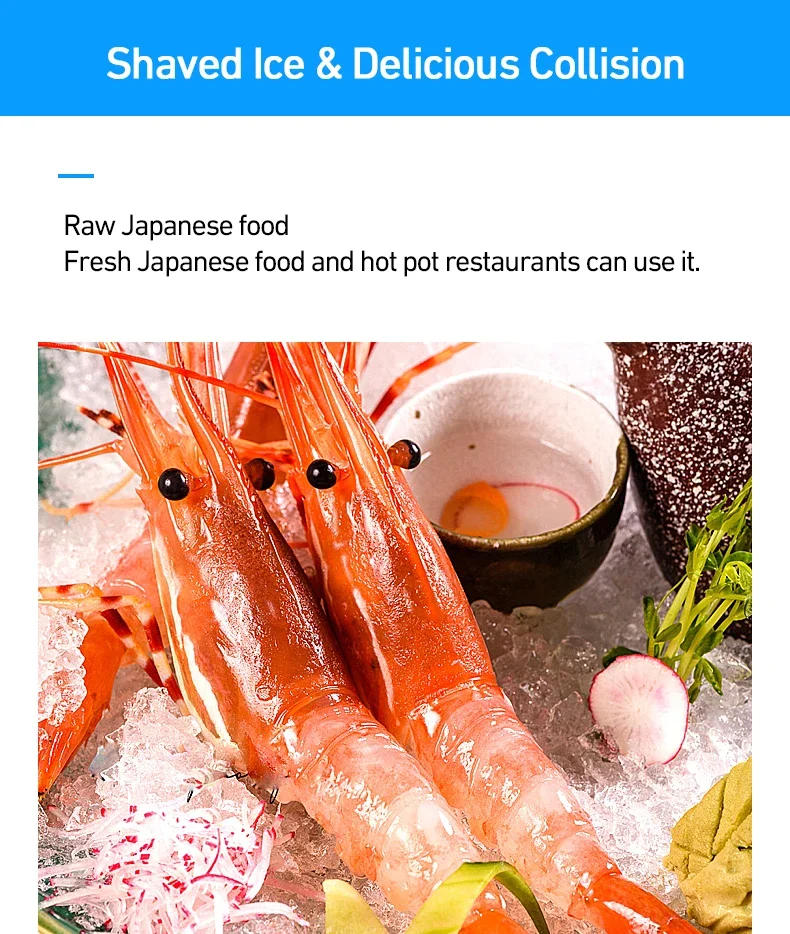 Description Picture 3 of item120/200 KG/H Electric Ice Shaver Branch Crusher Chopper Smoothie Blender Granizing Machine Shredder Snow Cone Cubes Maker