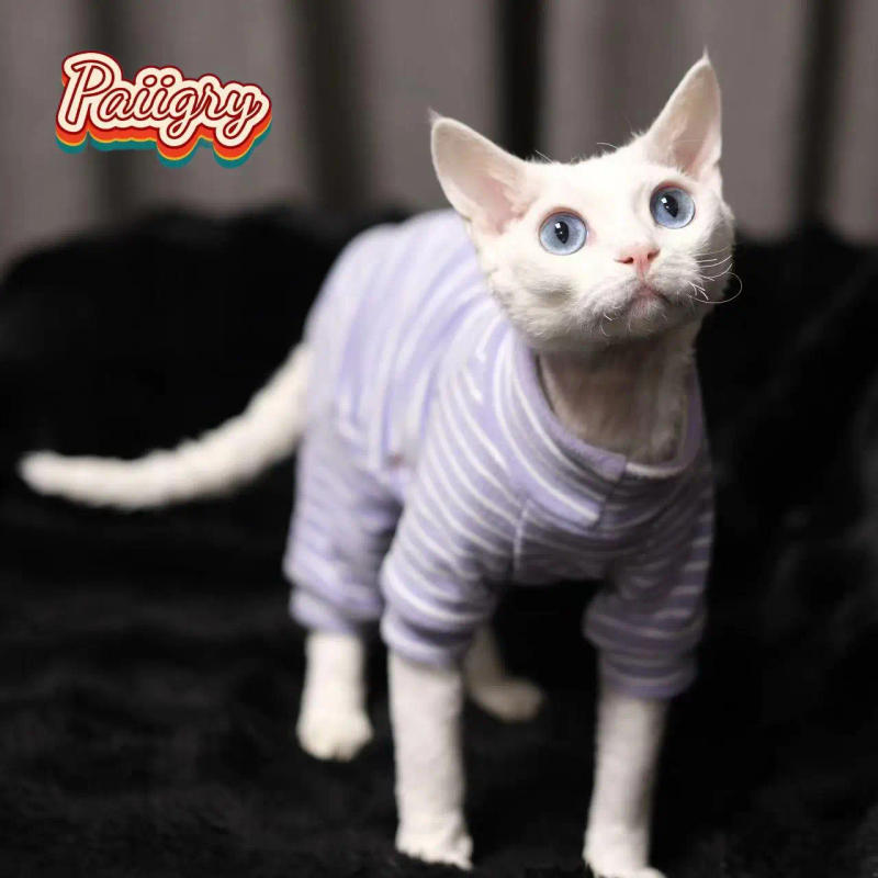 Description Picture 4 of itemHairless cat clothes tricolor four-legged clothes Sphinx warm high stretch home four-legged clothes pet clothing