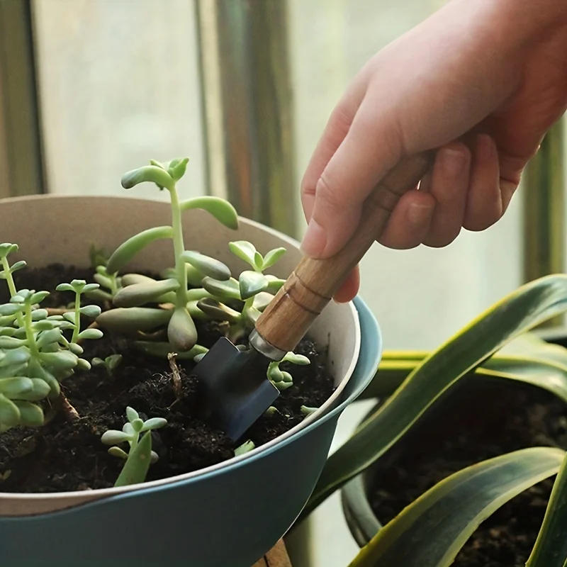 Description Picture 6 of itemGarden Tool Set Mini Gardening Kit with Rake Trowel and Shovel for Succulent Plants and Soil Cultivation