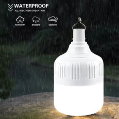 Led Rechargeable Light Bulb Night Market Outdoor Portable Camping Light Usb Charging Emergency Light Power Outage Lighting Bulb