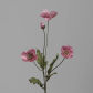 Type B Pink