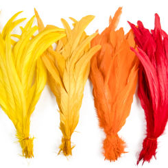 10pcs/lot Natural Roosters Chicken Cock Feather Tail Bulk 25-40cm for DIY Craft Dress Wedding Carnival Stage perform Plume Decor