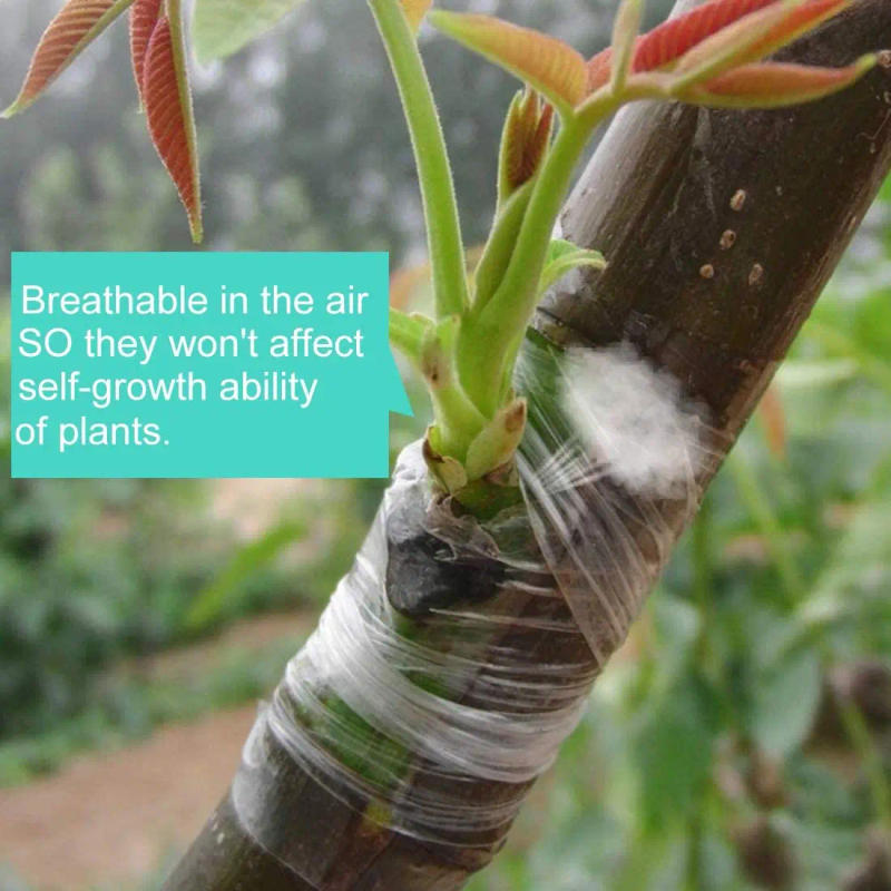 Description Picture 5 of item200M PE Grafting Tape Parafilm Garden Tree Plants Seedlings Vine Tomato Grafting Accessories Stretchable Grafting Floristry Film