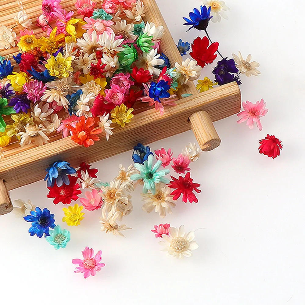 Description Picture 4 of item100/200pcs Artificial Flower for DIY Resin Candle Making, Jewelry Fill Art Craft, Home Decor Party Decoration Artwork Photo Prop