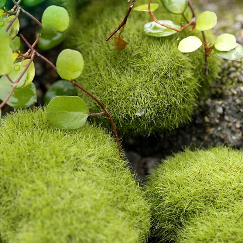 Description Picture 4 of itemFake Stone Artificial Moss Rocks Home Decor Micro Landscape Simulation Plant DIY Decoration for Garden and Crafting Home Decor