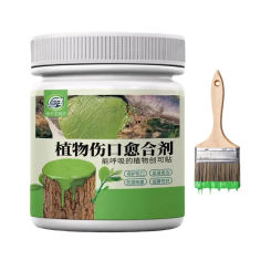 250/500g Tree Wound Bonsai Cut Paste Smear Agent Pruning Compound Sealer with Brush Dashu Wound Healing Agent Smear Plant
