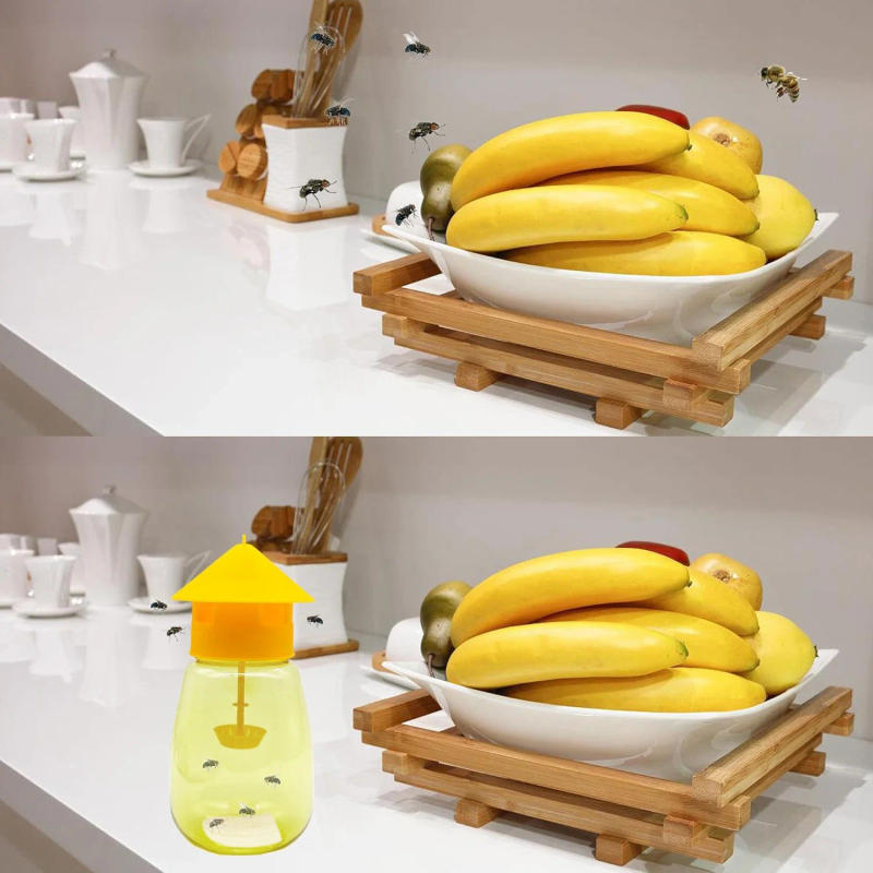 Description Picture 5 of itemFruit Fly Trap Reusable Plastic Insect Catcher Trap Transparent Environmentally Anti Flies Home Garden Orchard Pest Control Tool