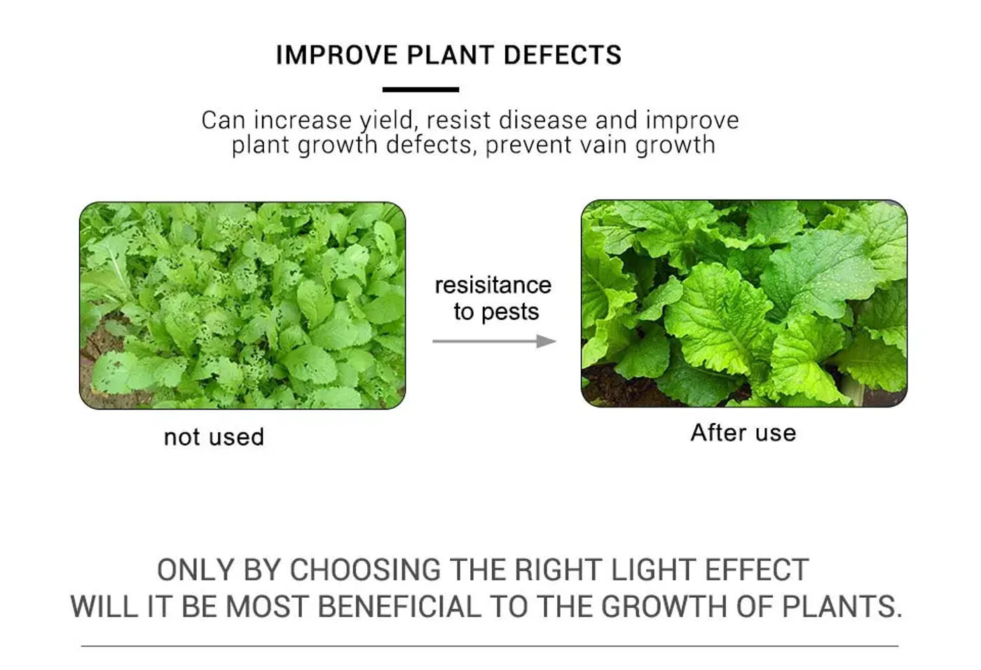 Description Picture 6 of item1-5M 5V USB Plant Light Grow LED Strip Full Spectrum Phyto LED for Greenhouse Tent Hydroponic Plants Flower Seed Lighting