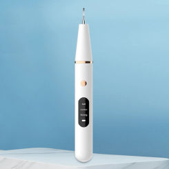 Sonic Electric Tooth Cleaner with 2 Clean Heads Froomer Tartar Remover 4 Adjustable Modes Tooth Cleaning Tool for Adult and Kids