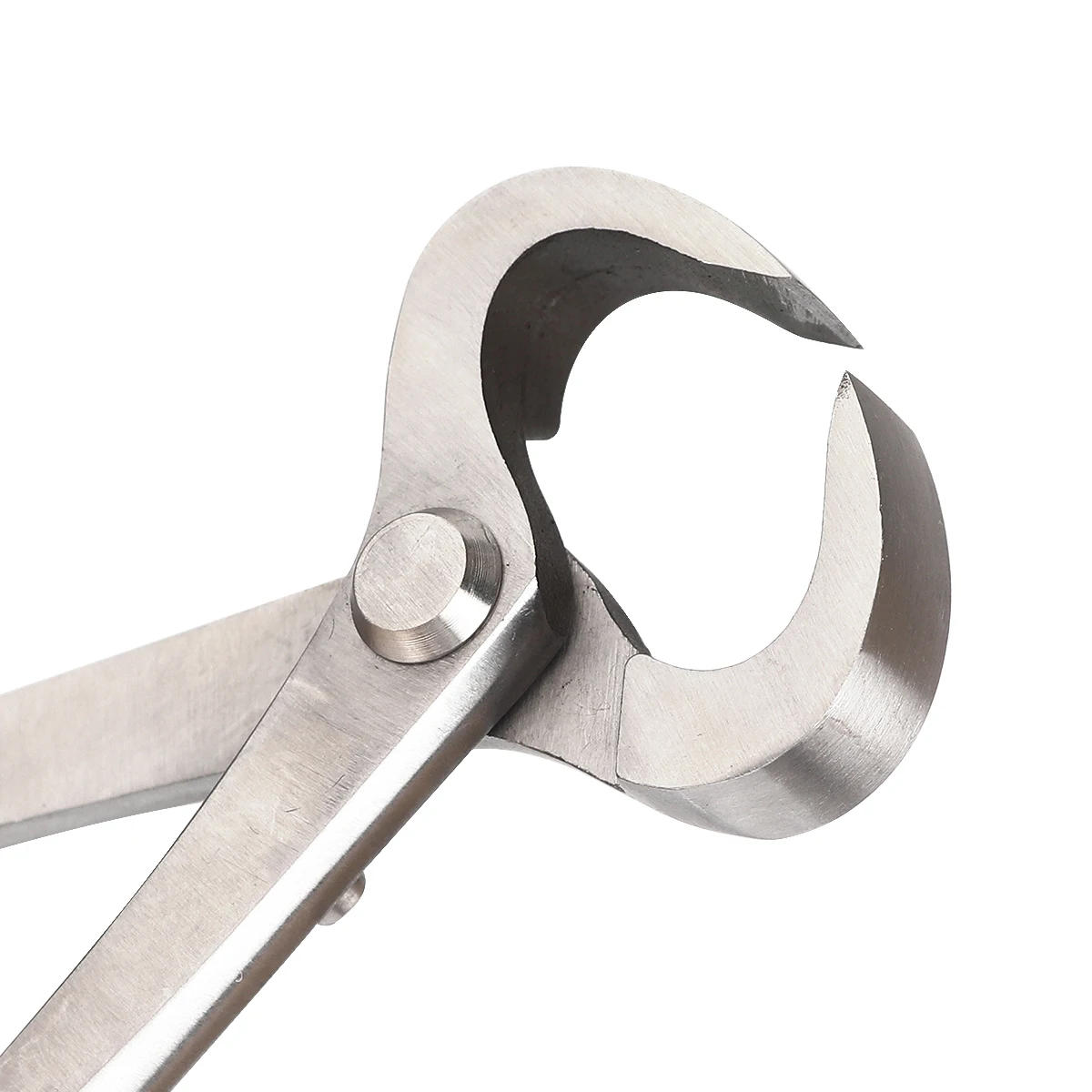 Description Picture 2 of itemMAGCPEED 7-11inch Bonsai Pruning Tool Garden Cutter  Professional  Stainless Steel Tools Quality Gardening Scissors Shear Tool