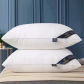 2pcs Pillow core