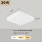 Fixed light 30W 1pcs