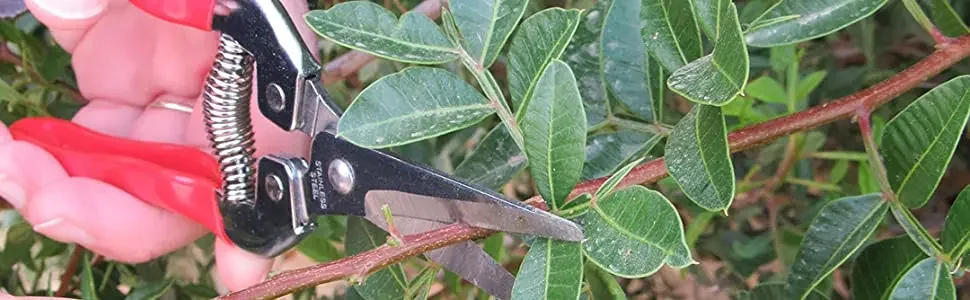 Description Picture 2 of itemGardening Hand Pruner Garden Scissors Pruning Shears Micro-Tip Pruning Snips Leaf Trimmer Straight Florist Scissor For Plants