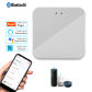 Bluetooth Gateway