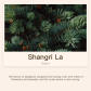 Shangri-La-1