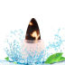 Slide image c6001a4d88d841ccbfa7cbc195fda837