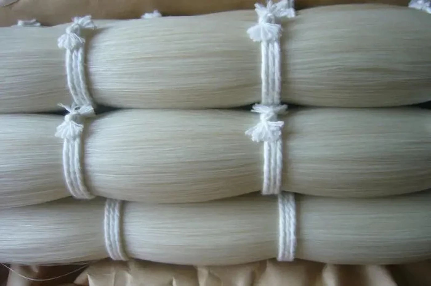 Description Picture 4 of item250 grams Top grade Stallion Siberian horsetail bowhair 78 cm violin viola cello double bass bow horse hair white bow hair