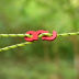 Slide image 0647671e88d54479bd05efef3f1fea11