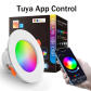 Tuya APP Control