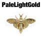 PaleLightGold