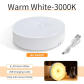 Warm White No Switch