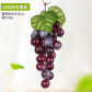 24Heads Grape Purple