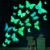 Slide image ad5328f1b8b44743be1107eab92ae542