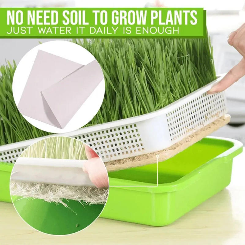 Description Picture 6 of item1pc Plastic Grow Nursery Pots Vegetable Soilless Nursery Trays Seed Germination Tray Seedling Sprout Plate Nursery Pots Tray