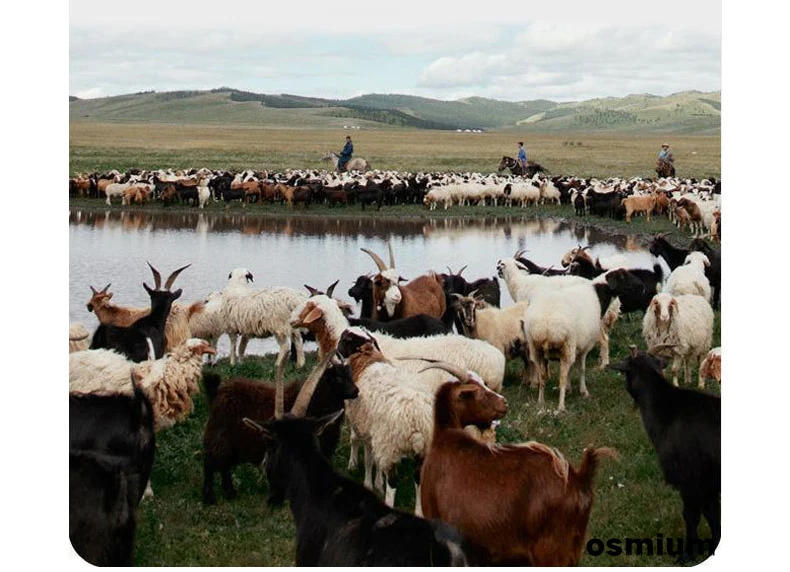 Description Picture 6 of itemMens Black Blend Coat Winter Long Quilted Wool Windbreaker Male Casual Business Thick Button Woolen Warm Jacket Plus Size M-4XL