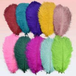 10Pcs Ostrich Feathers Plumes Decoration 25-30CM 10-12" White Table Centerpiece Feather Jewelry Handicrafts Carnival Accessories