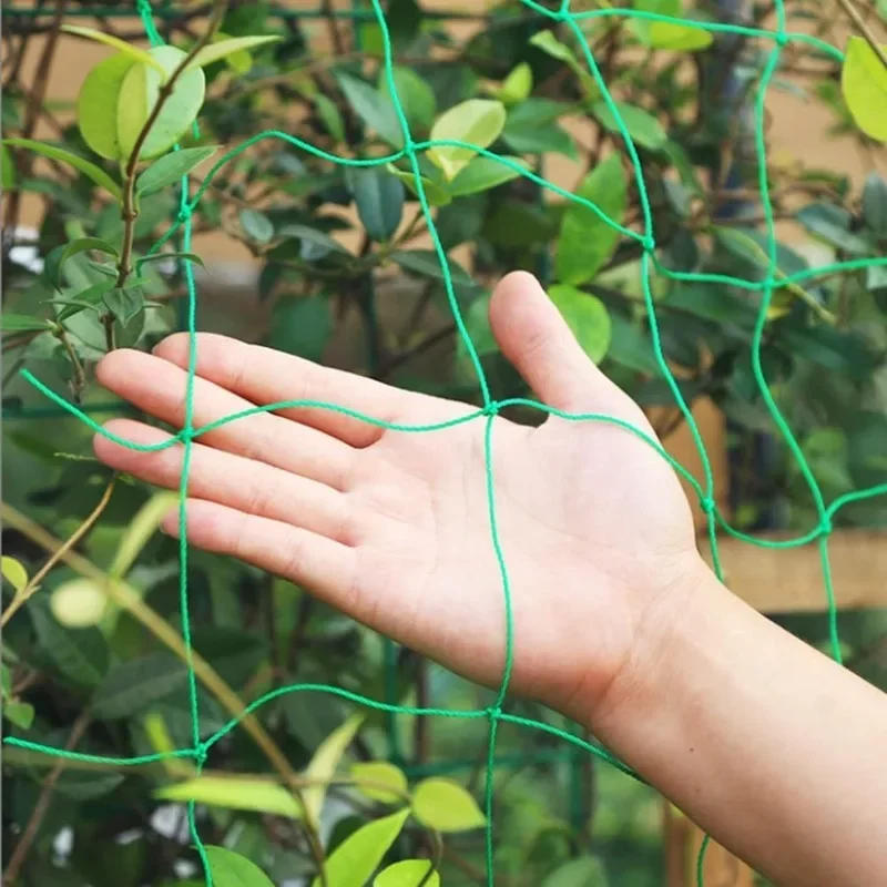 Description Picture 6 of itemPlant Climbing Netting High-quality Nylon Plant Trellis for Garden Vine Climbing Vegetable Loofah Morning Glory Flowers Growing