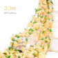 2.3m-champagne