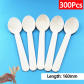 300pcs Spoons(16cm)