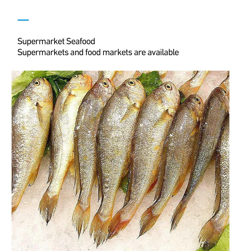 Description Picture 4 of item120/200 KG/H Electric Ice Shaver Branch Crusher Chopper Smoothie Blender Granizing Machine Shredder Snow Cone Cubes Maker