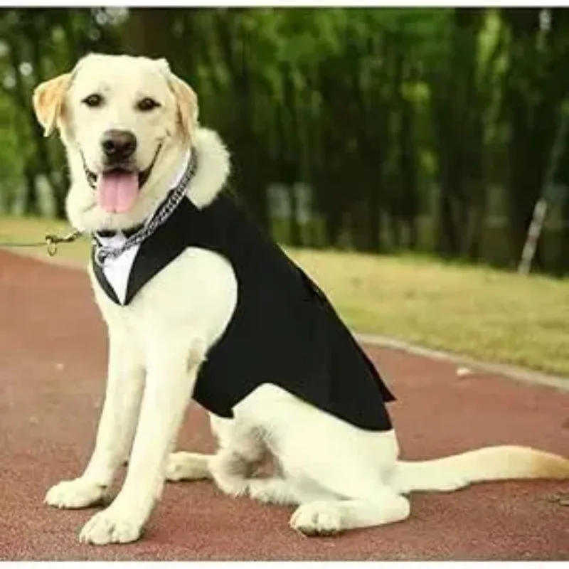 Description Picture 6 of itemCotton Large Dog Costume Detachable Two Pieces Dog Wedding Costume Black Dog Clothes Suit Dress Autumn Large Breeds Pet Products