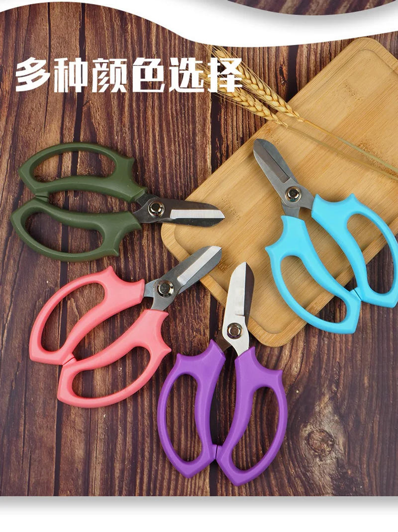 Description Picture 5 of itemStainless Steel Garden Pruning Scissors Flower Pruning Scissors Household Garden Fruit Picking Tools