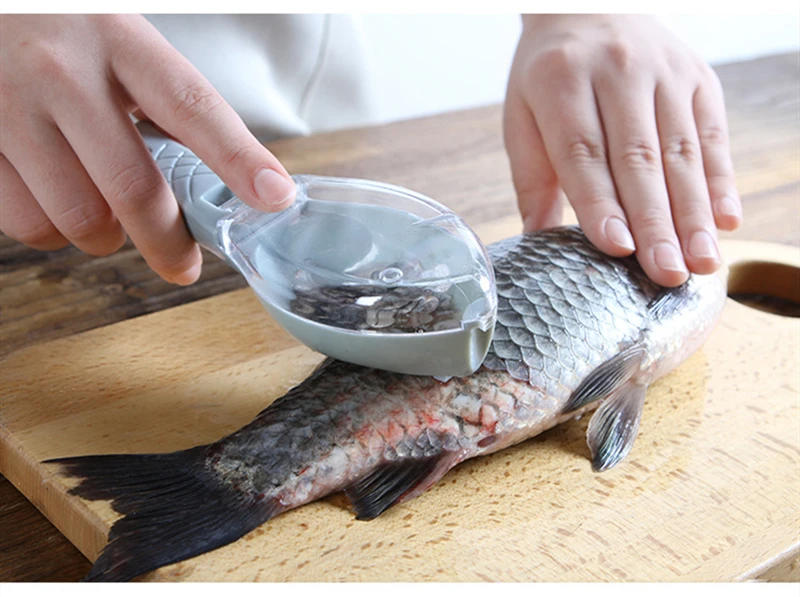 Description Picture 6 of itemFish Scales Graters Scraper Fish Cleaning Tool Scraping Scales Device with Cover Home Kitchen Cooking Fish Tool Kitchen Tools