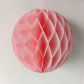 FW light pink