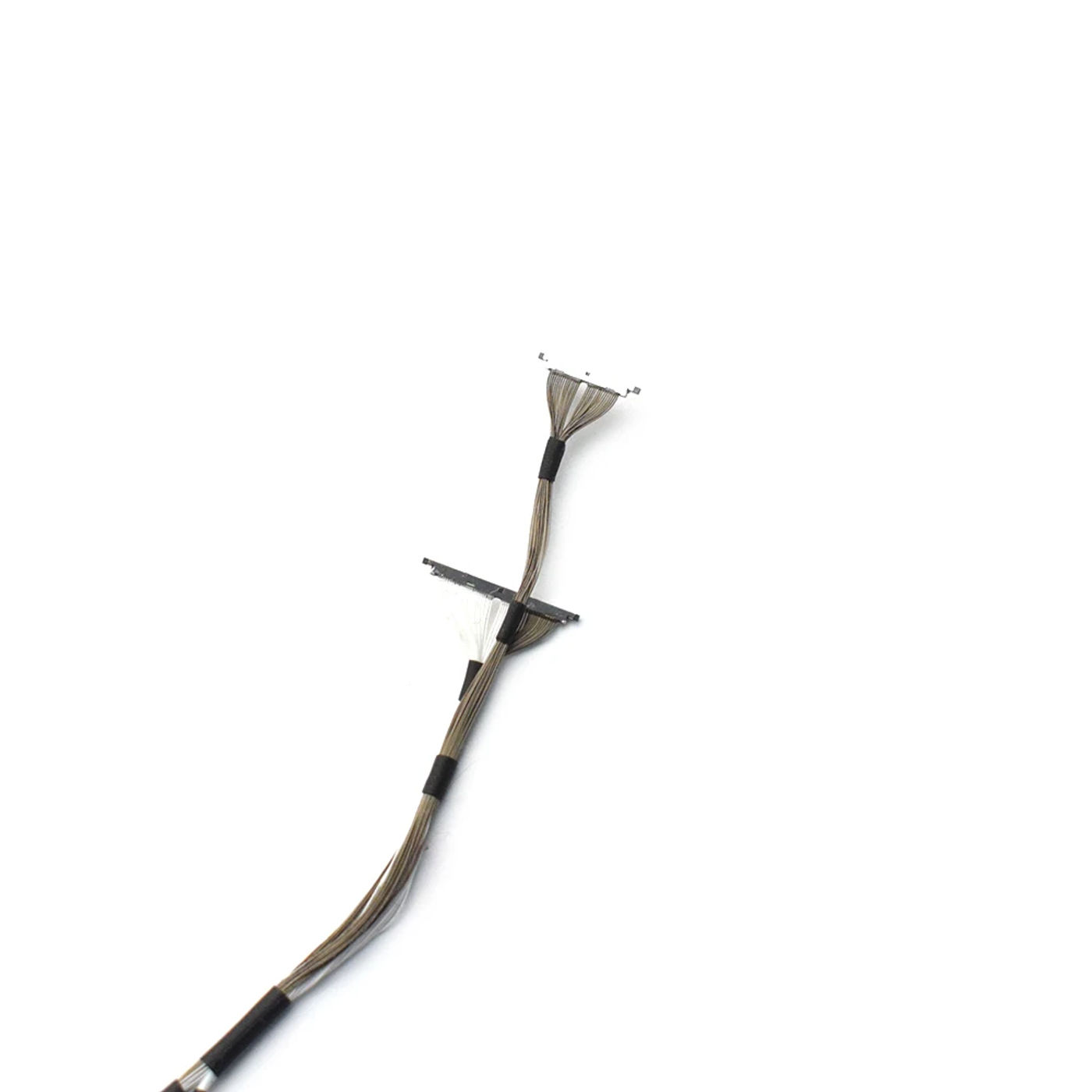 head_title lazy